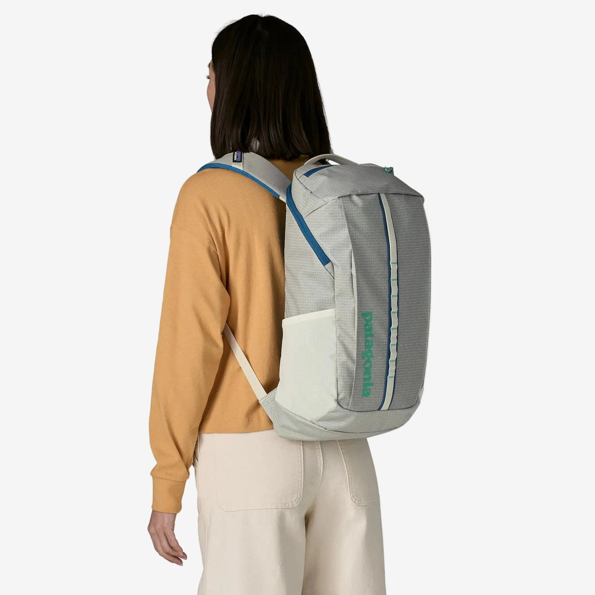 Plecak Patagonia Black Hole Pack 25L Patagonia - Dasea People
