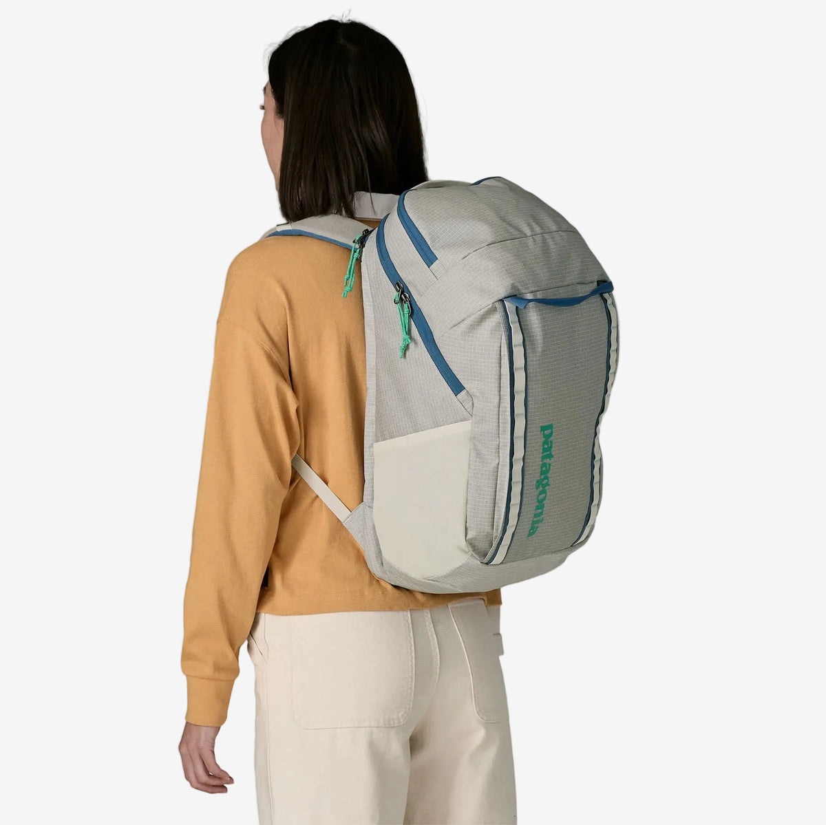 Plecak Patagonia Black Hole 32L