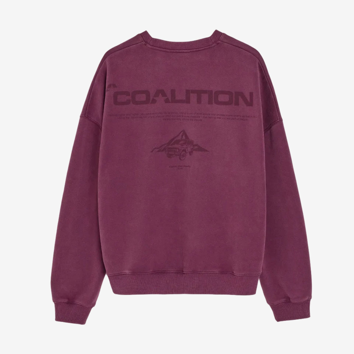 Bluza Coalition Washcrew Coalition - Dasea People