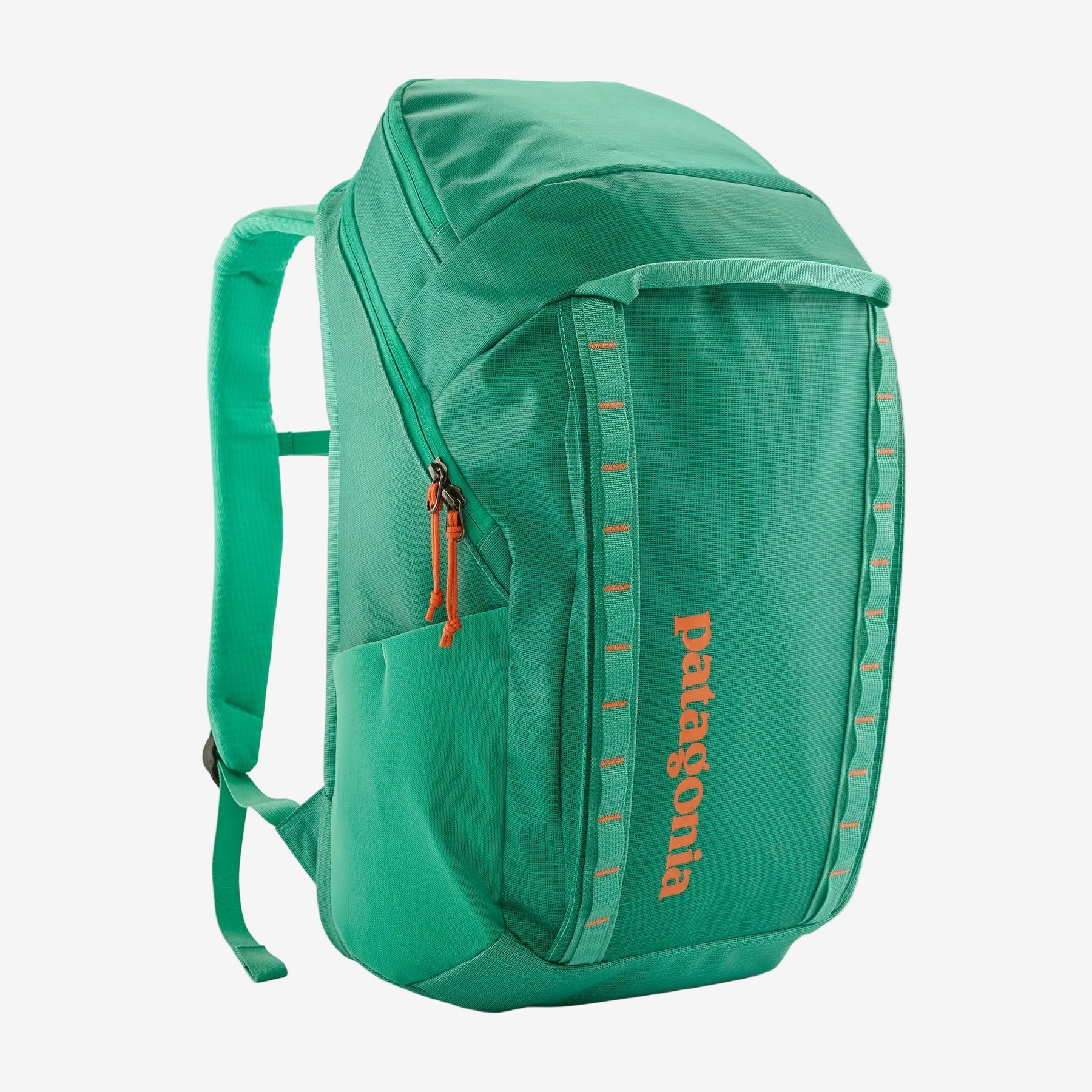 Plecak Patagonia Black Hole 32L Patagonia - Dasea People