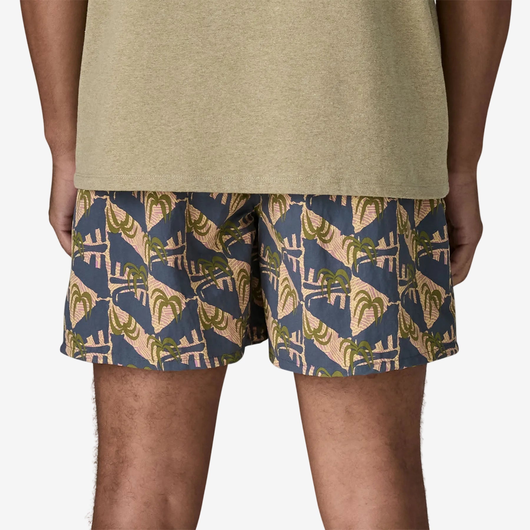 Szorty Patagonia Baggies 5 in. Patagonia - Dasea People