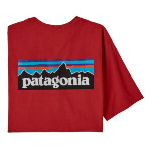 t-shirt-meski-patagonia-p-6-logo-responsibilii-tee-sumr