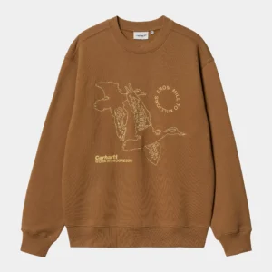 bluza-meska-carhartt-wip-flying-ducks-hamilton-brown